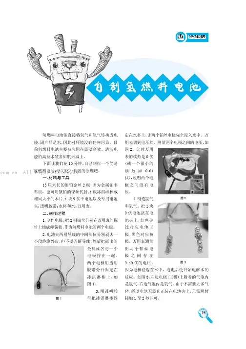 自制氢燃料电池