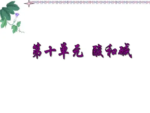 九年级化学第十单元酸和碱课件PPT下载