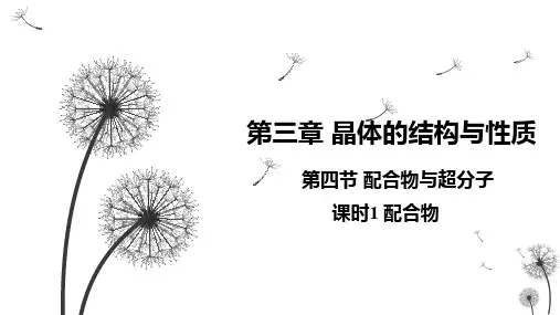 配合物ppt课件
