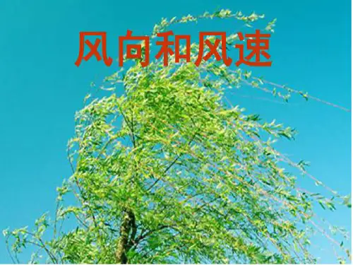 四年级上册科学课件-1.4 风向和风速｜教科版 (共8张PPT)