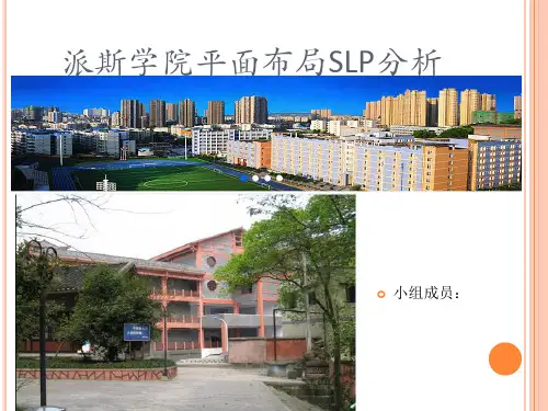 派斯学院平面布局SLP分析.