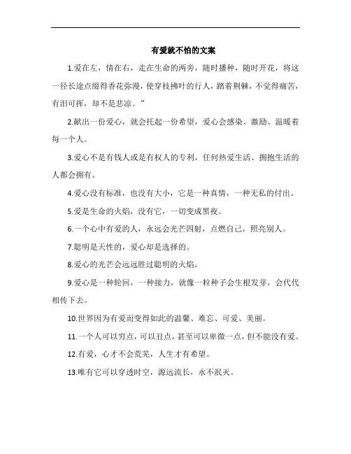 有爱就不怕的文案