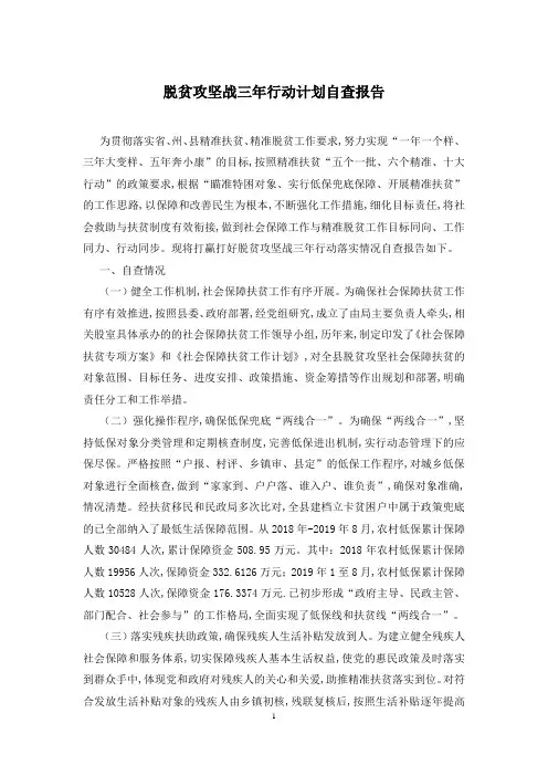 脱贫攻坚战三年行动计划自查报告