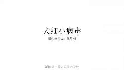 犬细小病毒