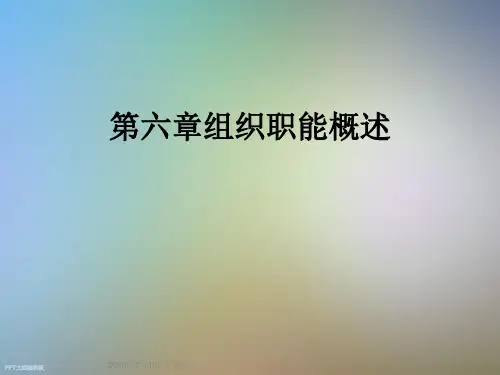 第六章组织职能概述