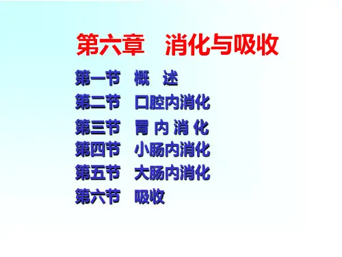 《人体解剖生理学》第六章   消化与吸收