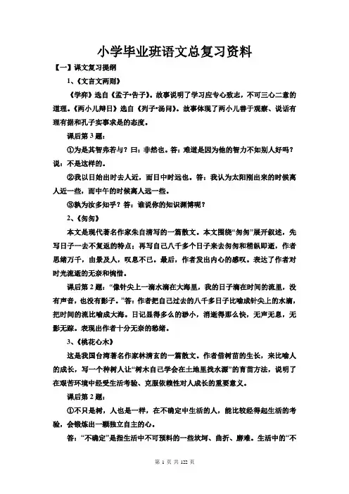 小学语文毕业班复习总资料全面版