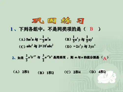 北师大版七年级上册整式的加减-去括号课件