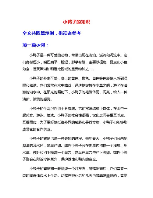 小鸭子的知识