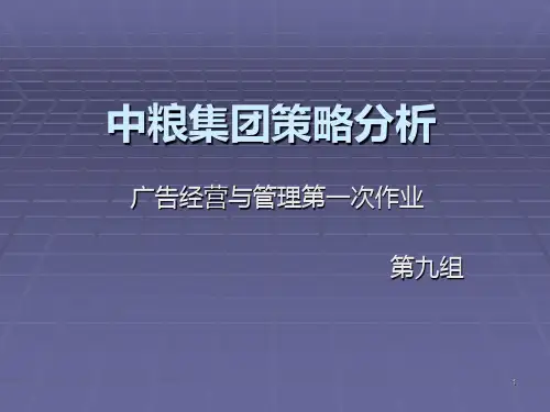 中粮集团策略分析 PPT课件