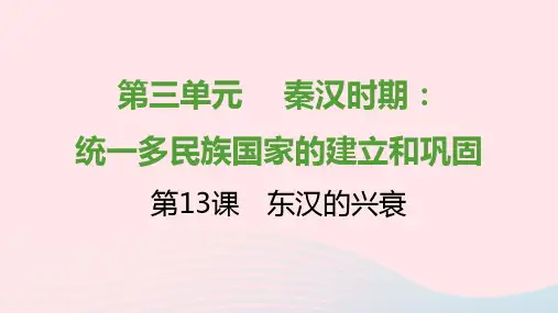 七年级历史上册第三单元秦汉时期统一多民族国家的建立和巩固第13课东汉的兴衰(提优训练)课件1新人教版