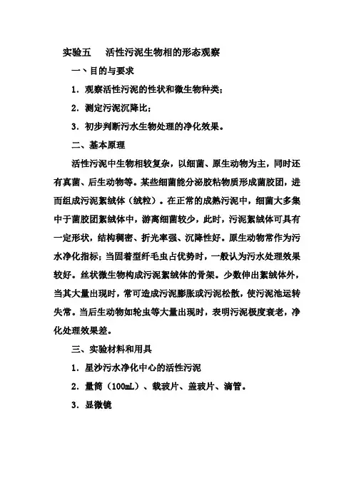 实验五   活性污泥生物相的形态观察
