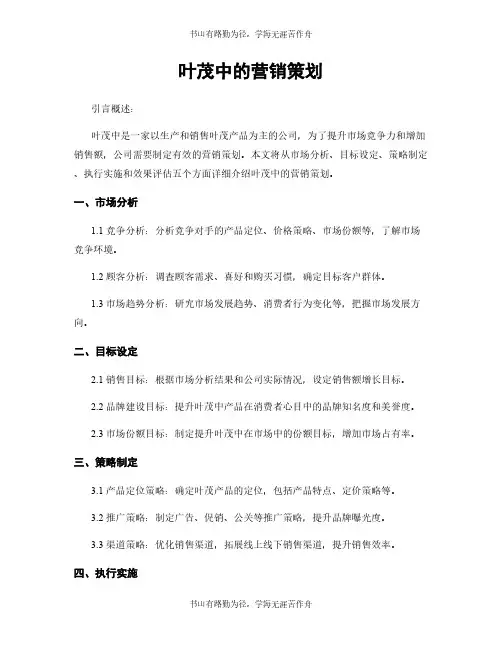叶茂中的营销策划