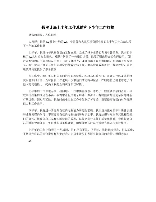 县审计局上半年工作总结和下半年工作打算