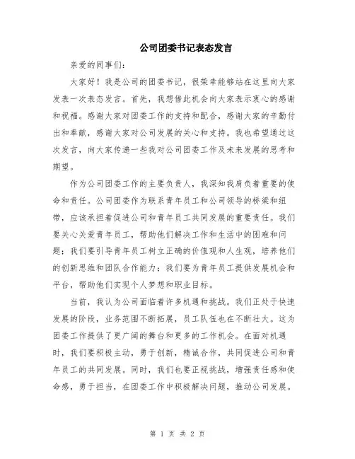 公司团委书记表态发言