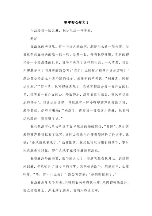 初一作文我坚持初心600字