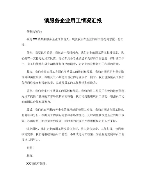 镇服务企业用工情况汇报