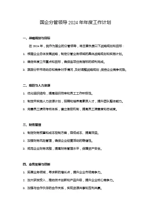 国企分管领导2024年年度工作计划