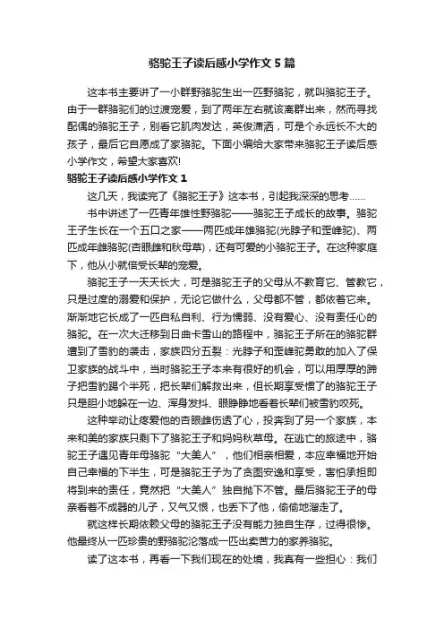骆驼王子读后感小学作文5篇