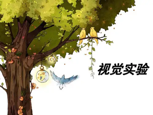 视觉实验