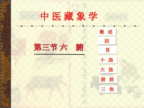 第二章 藏象6 六腑