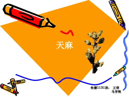 天麻·ppt