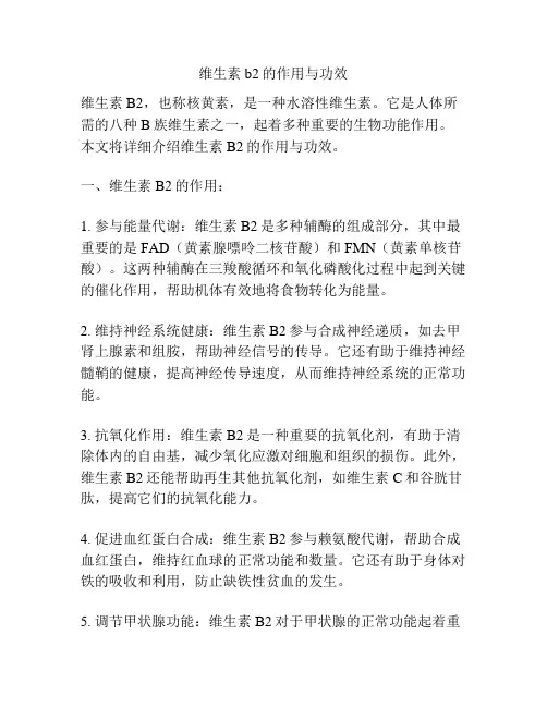 维生素b2的作用与功效