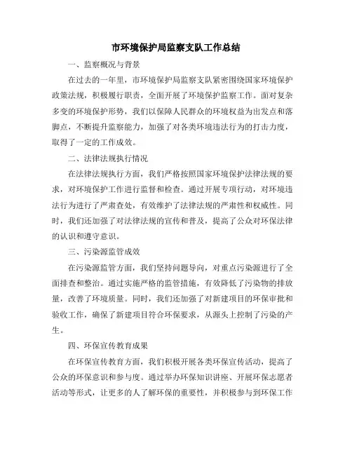 市环境保护局监察支队工作总结