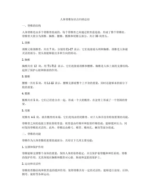 人体脊椎知识点归纳总结