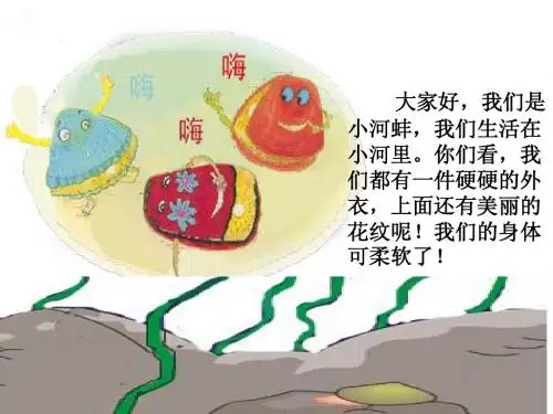 小河蚌的故事