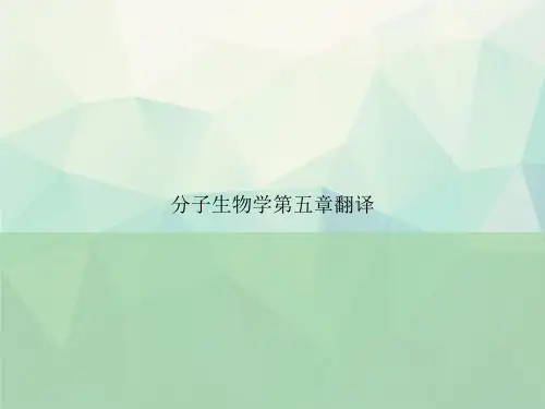 分子生物学第五章翻译专选课件