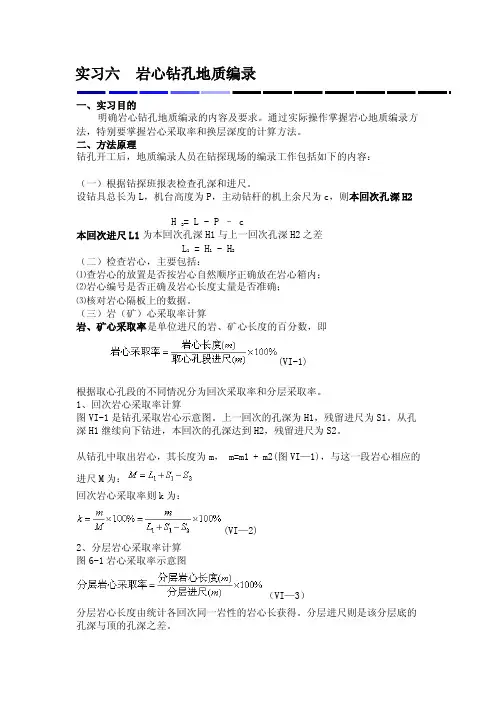 [新版]岩心钻孔地质编录