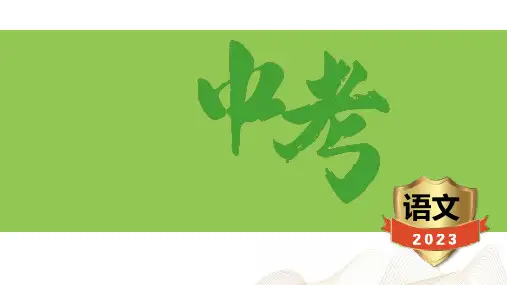 中考语文总复习第23篇 醉翁亭记