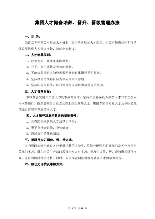 集团人才储备培养、晋升、晋级管理办法
