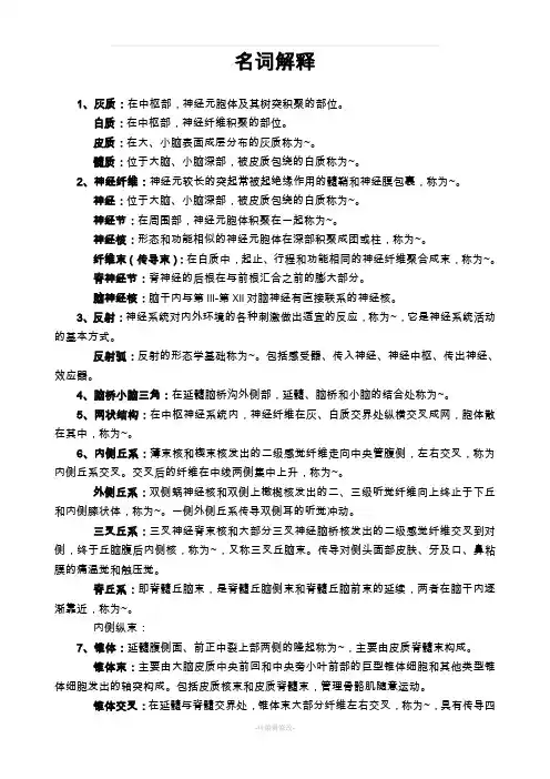 系统解剖名词解释