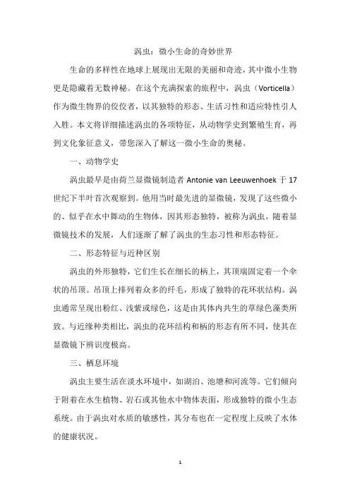 涡虫：微小生命的奇妙世界