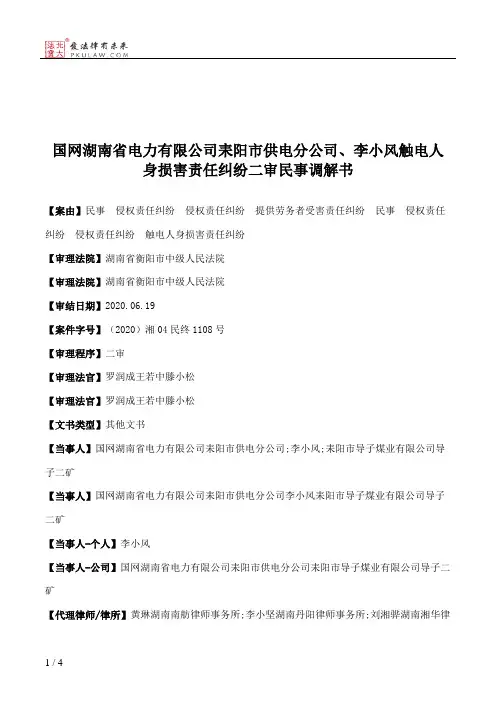 国网湖南省电力有限公司耒阳市供电分公司、李小风触电人身损害责任纠纷二审民事调解书