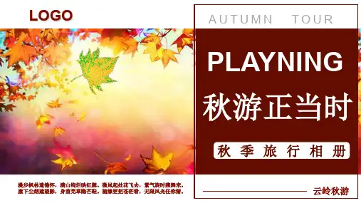 创意秋游当时出游旅行PPT模板