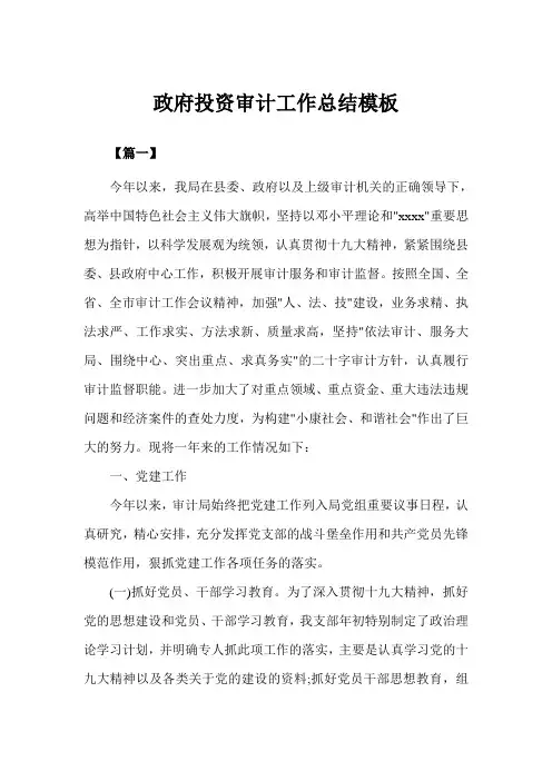 政府投资审计工作总结模板(完美版)