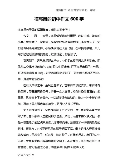 描写风的初中作文600字