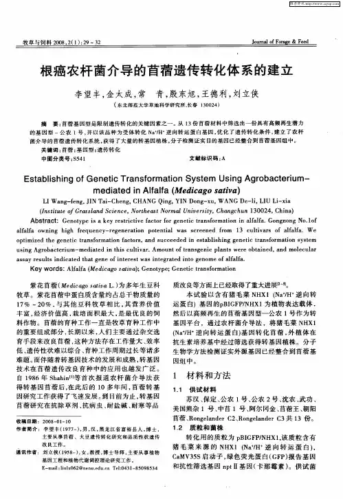 根癌农杆菌介导的苜蓿遗传转化体系的建立
