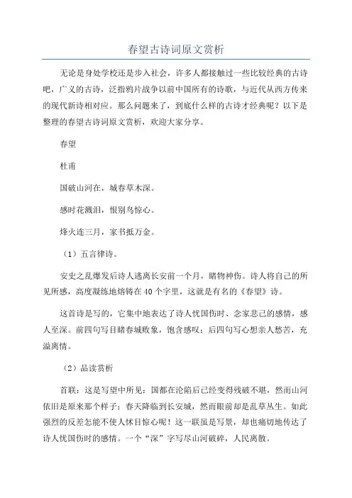 春望古诗词原文赏析