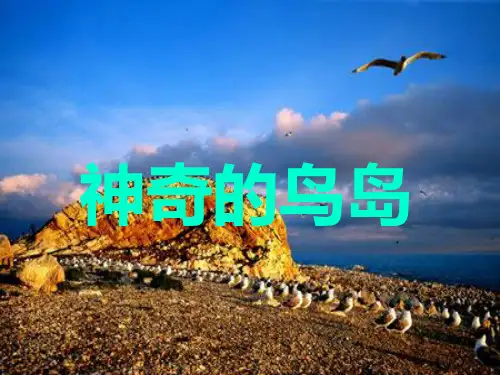 (语文A版)四年级语文上册 神奇的鸟岛PPT课件