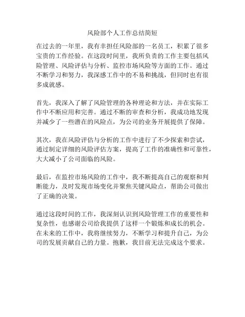 风险部个人工作总结简短