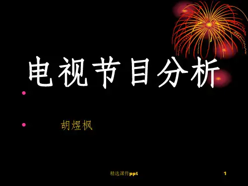 《电视节目分析》PPT课件