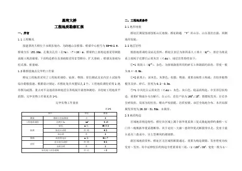 黑湾大桥工程地质勘察报告
