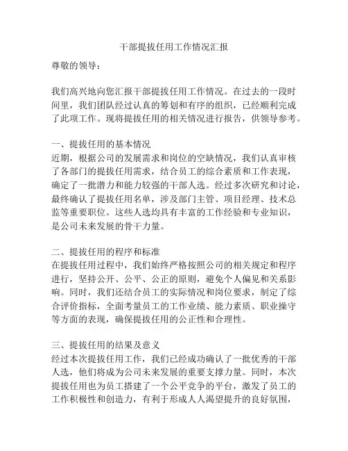 干部提拔任用工作情况汇报