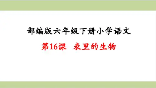 部编人教版六年级下册语文 第16课 表里的生物 教学课件PPT