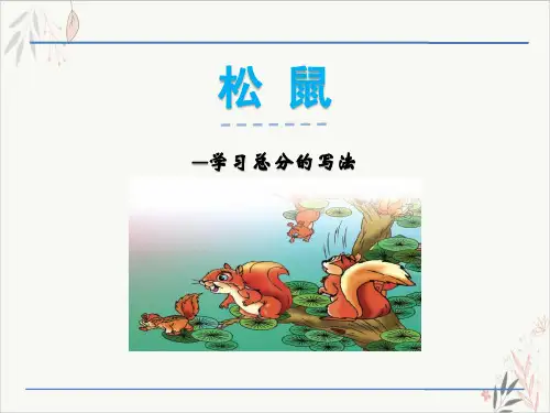松鼠ppt课件(完美版)