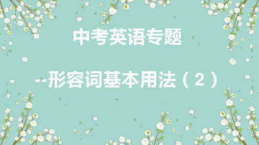 中考英语专项--形容词基本用法(2)(共22张PPT)